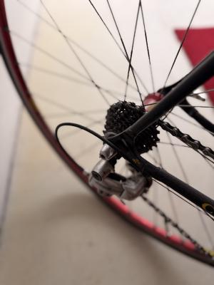 Colnago Master 1996 — colnago master cassette detail