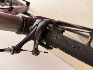 Nevi Grimsel — nevi grimsel brake caliper detail