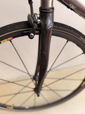 Nevi Grimsel — nevi grimsel fork crown