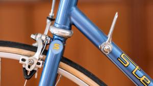 Stelbel Strada Oria — f3-Stelbel-Strada-Down-Shifter-Detail