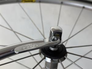 Stelbel Strada Oria — stelbel strada oria photo session 16